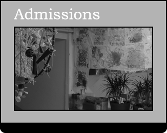 View our Admissions Requirements